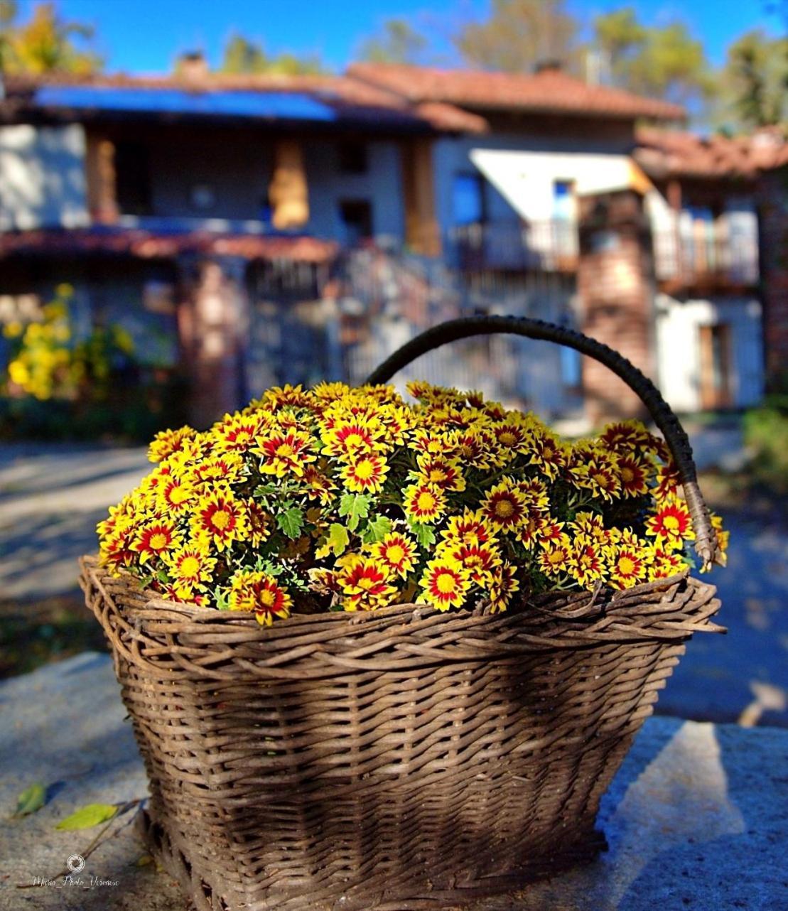 B&B Le Mimose Bricherasio Экстерьер фото